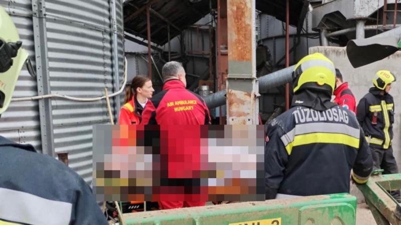 Félelmetes munkahelyi baleset történt: egy dolgozó lába beszorult a silógépbe.