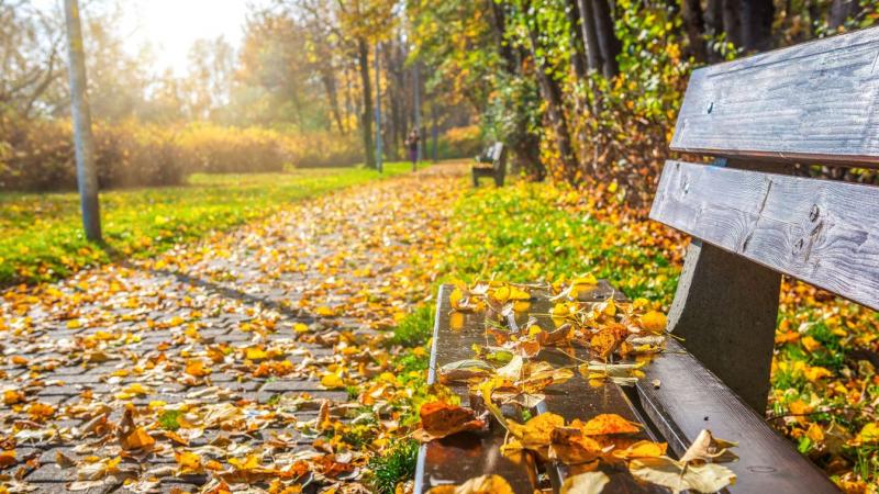 A holnapi időjárás meglepetéseket tartogathat mindannyiunk számára – ezért fontos, hogy felkészüljünk rá!