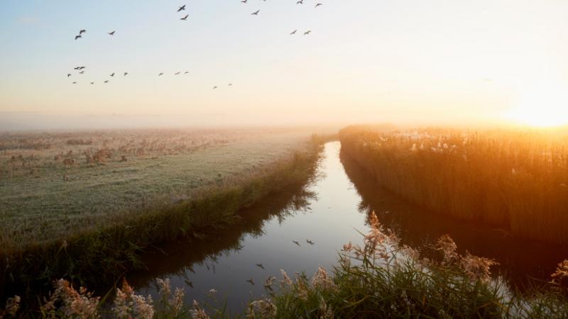 A vízhelyzet Európában egyre aggasztóbbá válik, és a szakértők sürgetik a gyors intézkedéseket - számol be az Agro Napló. Az aszály és a vízhiány következményei már most is érezhetőek, ezért elengedhetetlen, hogy a döntéshozók mielőbb cselekedjenek.