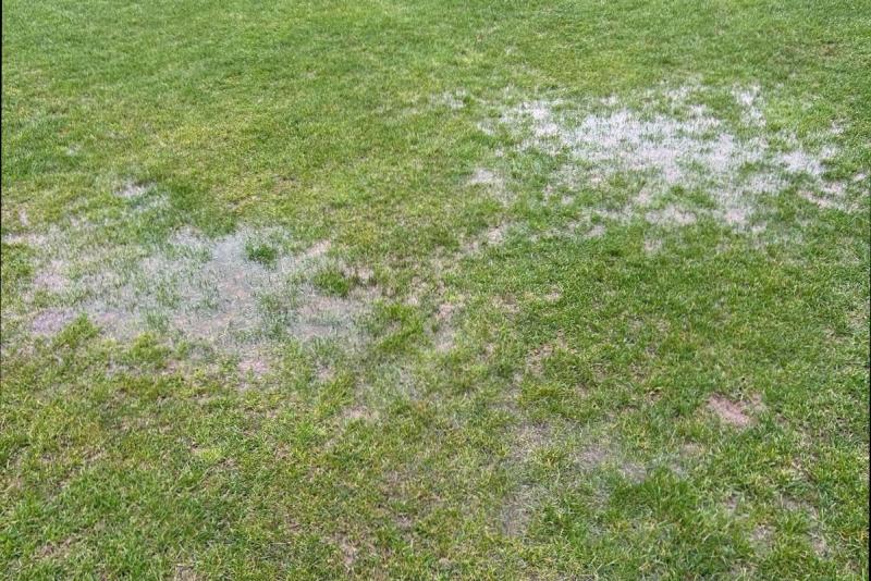 Öt kiemelkedő előny a Barót csapata számára, valamint egy mérkőzés elhalasztása a Kovászna megyei 4. Ligában | Székely Sport hírei