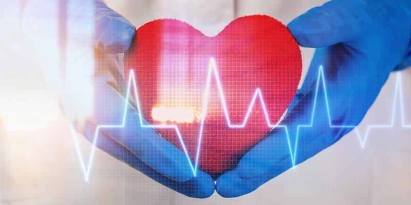 Szlovénia kiemelkedő helyet foglal el az egymillió lakosra jutó szívátültetések terén | Vajdaság MA