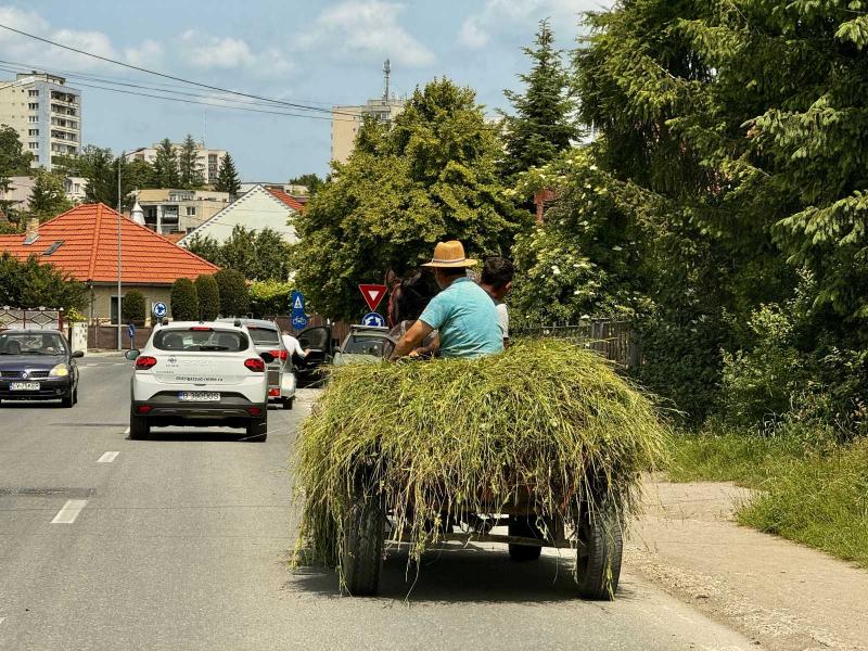 Sepsiszentgyörgyön az engedély nélküli közlekedés során észlelt szekereket és lovakat lefoglalják.