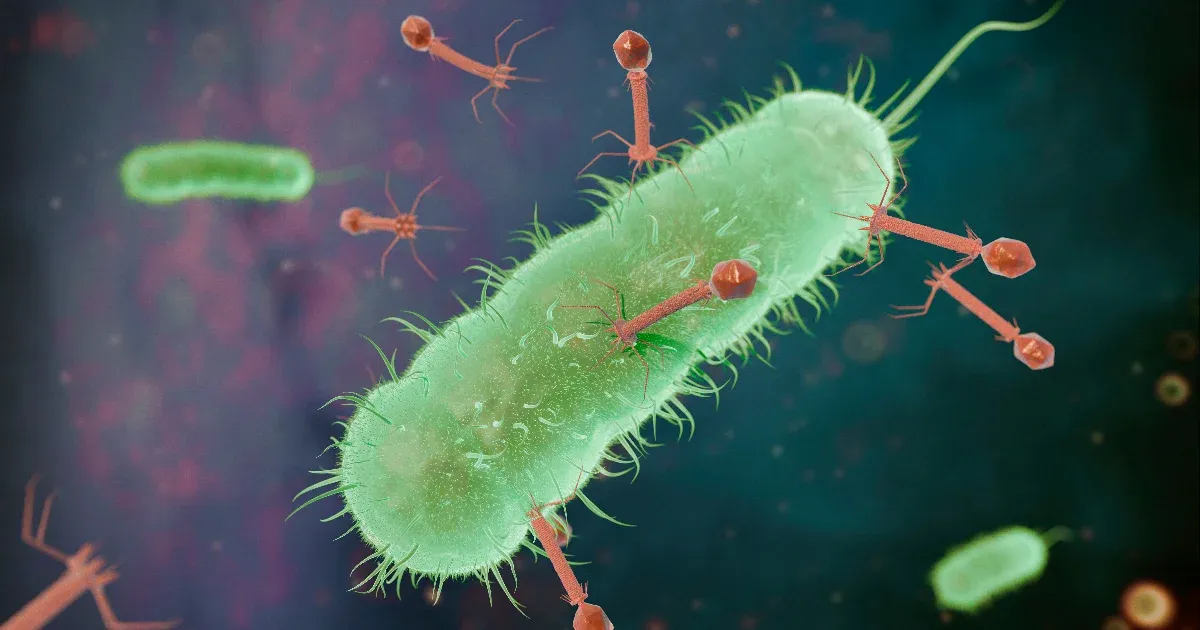 Elképzelhető, hogy a mesterséges intelligencia által létrehozott vírusok a jövő egyik innovatív gyógymódját jelenthetik, azonban ennek komoly kockázatai is lehetnek.