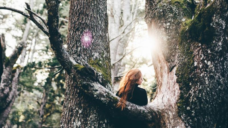 Október 31 varázslatos ereje - ezt rejti magában az átjárók éjszakája. E napon a határok elmosódnak a valóság és a misztikum között, amikor a világunk és a túlvilág egyesül. Az őszi szellőben a titkok szállnak, és a sötétségben fények gyúlhatnak, amelyek 