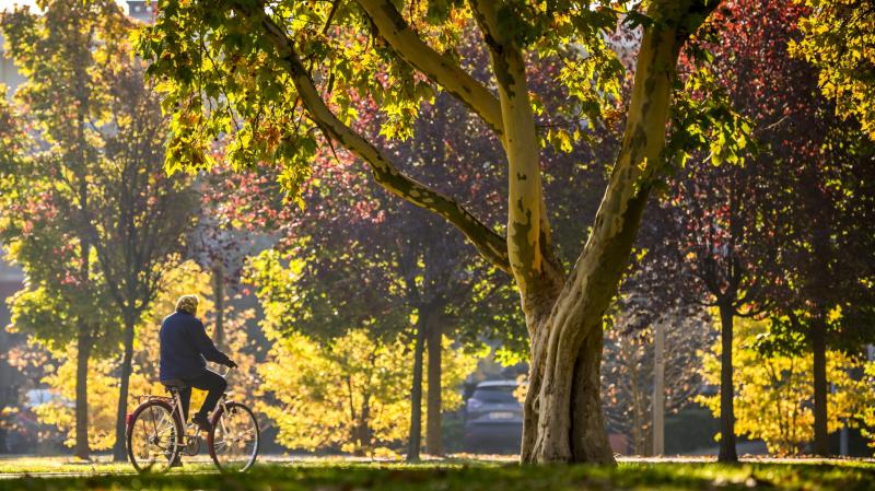 A hétvégén továbbra is megőrzi varázsát a csendes, őszi időjárás.