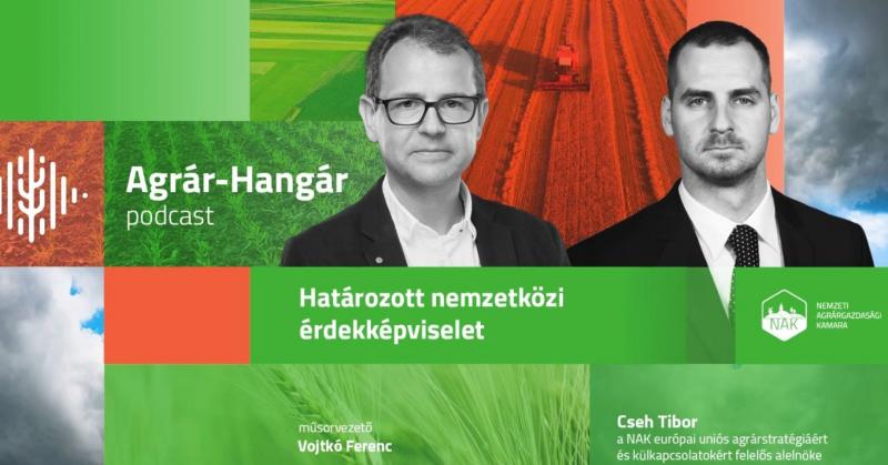 Brüsszel az agrárium területén költségcsökkentésre törekszik - a támogatások megvonása súlyos következményekkel járhat a magyar gazdák számára.