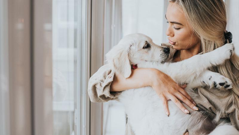 Amikor babahangon beszélsz a kutyádhoz, az agyában számos izgalmas reakció indul be. Ez a magas, édes hangszín és a játékos, lelkes stílus általában érzelmi válaszokat vált ki belőle. A kutyák természetüknél fogva érzékenyek a hangokra, és a babahangok ál