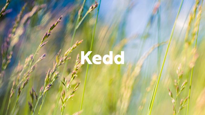 Friss hírek az agrárszektorról: Időjárás-előrejelzés 2025. október 28-ára, keddi napra.