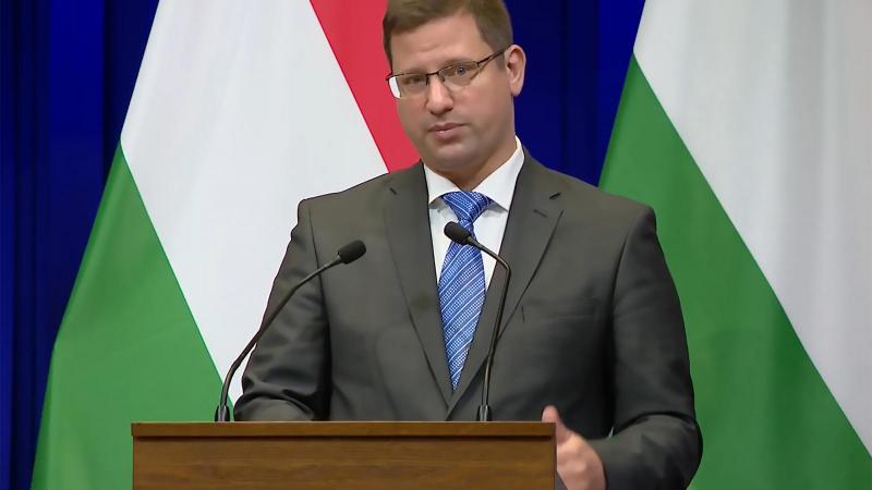 Gulyás Gergely Pintér Béláról: Az a dolog, amit művészeti előadásnak neveznek, számomra elfogadhatatlan és megalázó.